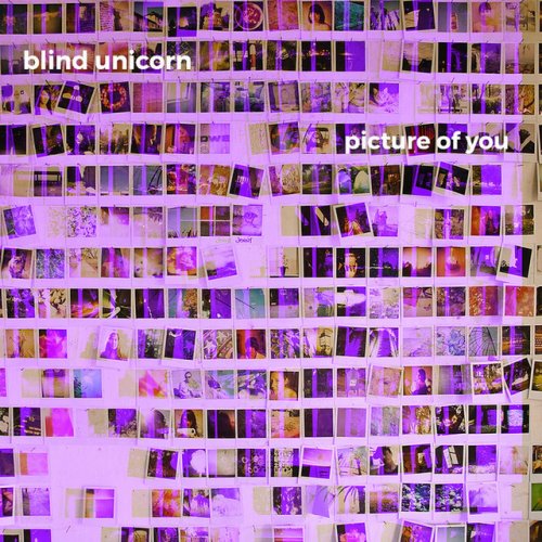 Blind Unicorn Picture Of You Paroles Musixmatch
