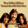 Tie a Yellow Ribbon 'Round the Old Oak Tree Tony Orlando&Dawn - cover art