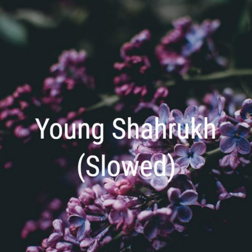 Vezk Young Shahrukh Slowed Paroles Musixmatch