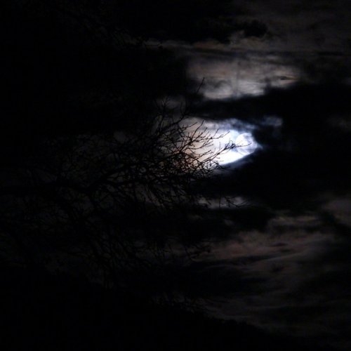 Greg Rank Punching Bag lyrics Musixmatch