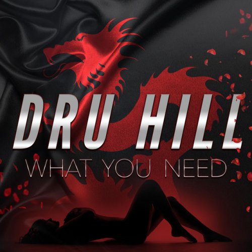 Dru Hill What You Need Lyrics Musixmatch