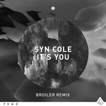 It S You Broiler Remix By Syn Cole Album Lyrics Musixmatch You look like someone who appreciates good music. musixmatch