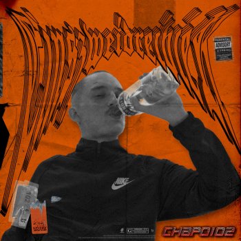 Mischkonsum By Chapo102 Feat 102 Boyz Album Lyrics