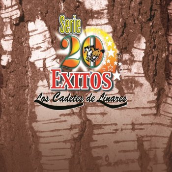 Serie 20 Exitos