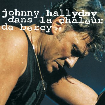 Quelque Chose De Tennessee Live Bercy 90 Testo E Video Johnny Hallyday Mtv Testi E Canzoni