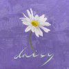 Daisy lyrics – album cover