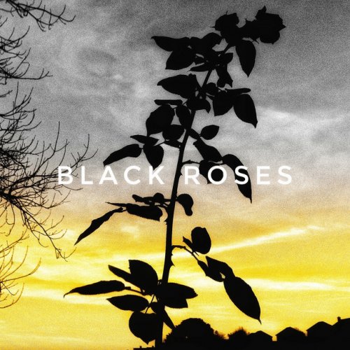 Letra de Black Roses de Aadivesh Tewari Musixmatch