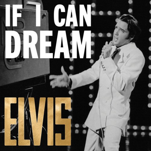 Letra de Unchained Melody Live at Ann Arbor, MI de Elvis Presley Musixmatch