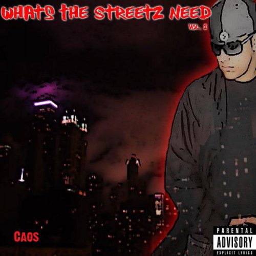 What The Streetz Need Vol.2