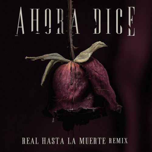 Traduccion de la letra de Ahora Dice feat. Cardi B Offset Anuel AA Arcangel Real Hasta La Muerte Remix de Chris Jedi al Ingles Musixmatch