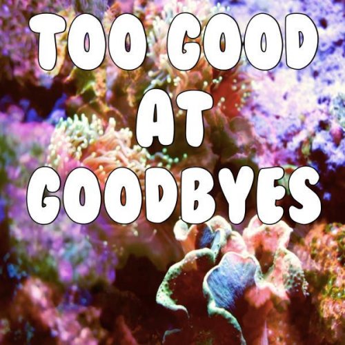 Too Good at Goodbyes (Tribute to Sam Smith)