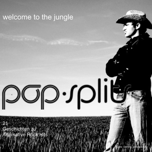Pop-splits - Welcome To The Jungle – 21 Geschichten Zu Alternative Rock Hits