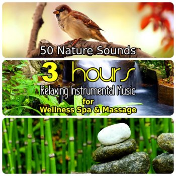 50 Nature Sounds 3 Hours Relaxing Music For Welness Spa And Massage Background Instrumental Songs With Singing Birds Waterfall Bubbling Brooks Natural Forest Ambience By Dominika Jurczuk Gondek Album Lyrics Musixmatch