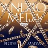 Andromeda (feat. Madame) - RMX
