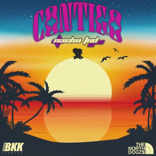 Nacho TND BRILLO SIN CADENA lyrics Musixmatch