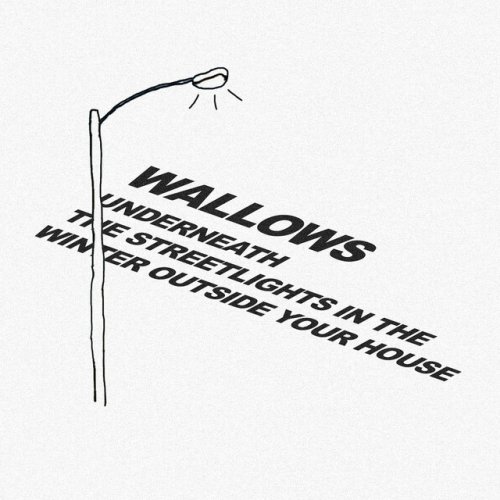 Wallows Underneath The Streetlights In The Winter Outside Your