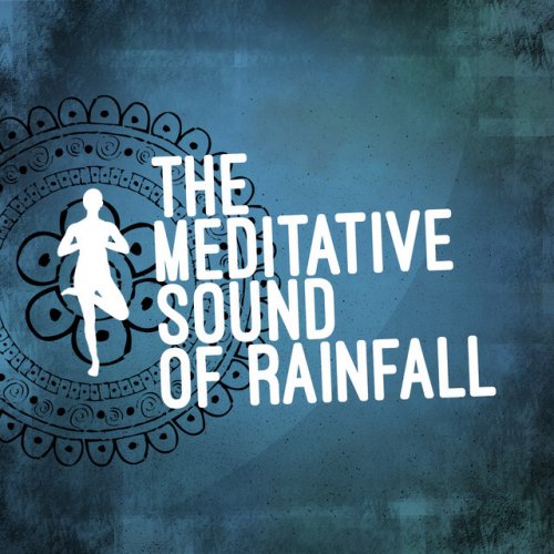 The Meditative Sound of Rainfall