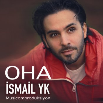 80 80 160 Seksen Seksen Yuzaltmis By Ismail Yk Album Lyrics