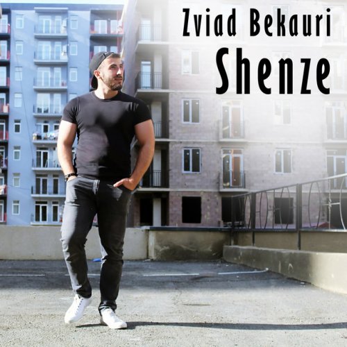 Zviad Bekauri Rogor Minda Mogefero lyrics Musixmatch
