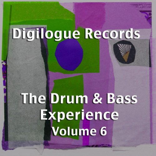 The Drum & Bass Experience Volume 6