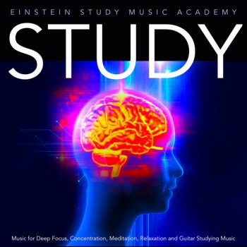 Testi Study Music for Deep Focus, Concentration, Meditation, Relaxation and Guitar Studying Music