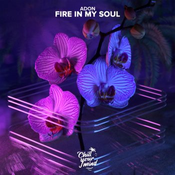 Fire In My Soul Single By Adon Album Lyrics Musixmatch Song Lyrics And Translations