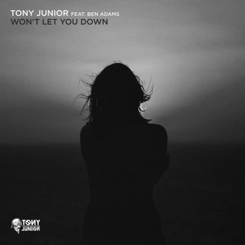 Tony Junior Feat Ben Adams Won T Let You Down Lyrics Musixmatch