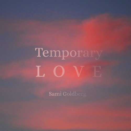 Sami Goldberg Temporary Love Lyrics Musixmatch
