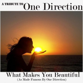 One Direction What Makes You Beautiful Instrumental Cover As Made Famous By One Direction Testo The Acoustics Mtv Testi E Canzoni