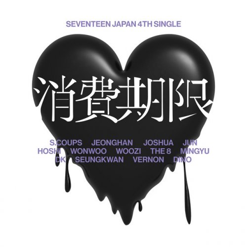 SEVENTEEN - Shohikigen lyrics translation in English | Musixmatch