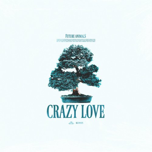Future Animals Crazy Love Lyrics Musixmatch