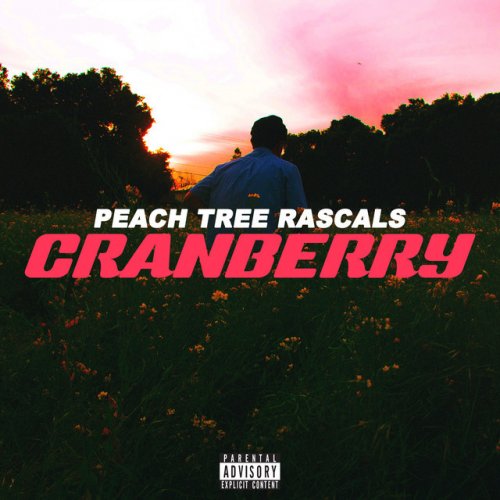 Peach Tree Rascals Cranberry Lyrics Musixmatch