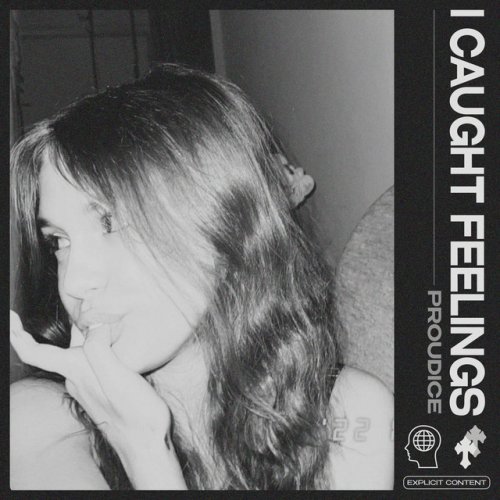 proudice I Caught Feelings Lyrics Musixmatch