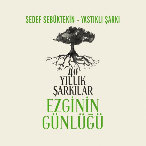 Sedef Sebuktekin Yastikli Sarki Lyrics Musixmatch
