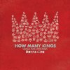 How Many Kings lyrics – album cover