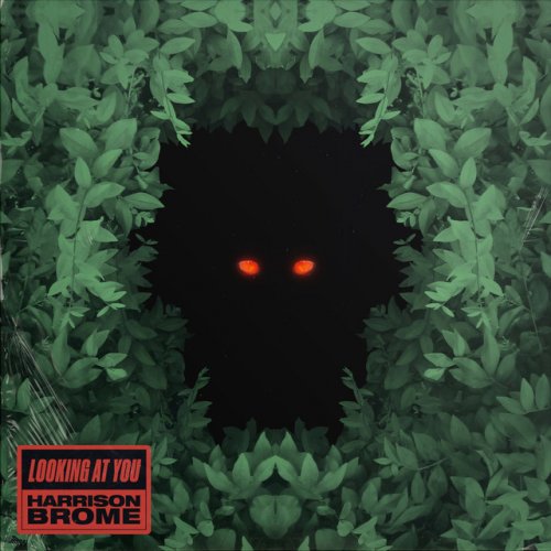 Harrison Brome Looking At You Lyrics Musixmatch (return to top of page). musixmatch