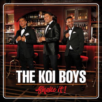 The koi boys record labels