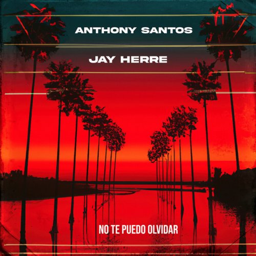 Letra De No Te Puedo Olvidar De Anthony Santos Feat Jay Herre Musixmatch
