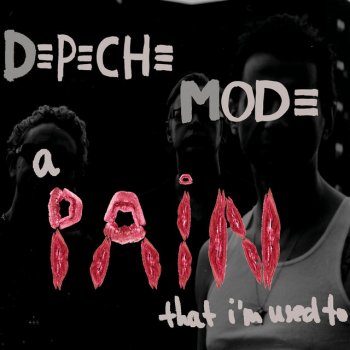 A Pain That I'm Used To (DMD Maxi)