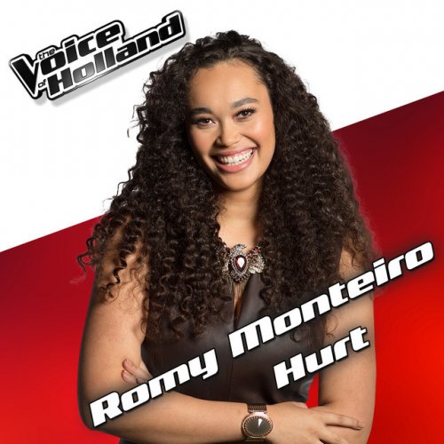 Romy Monteiro Hurt From The Voice Of Holland Season 5 Lyrics Musixmatch Poslednie tvity ot romy monteiro (@romymonteiro). romy monteiro hurt from the voice