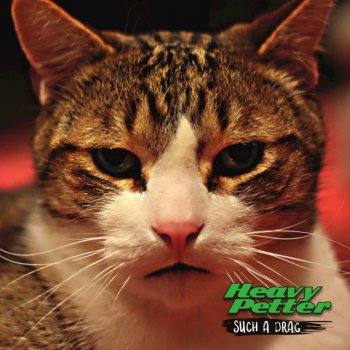 Musixmatch - The world's largest lyrics catalog