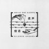 Silence Speaks lyrics – album cover