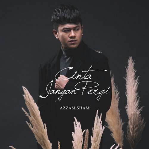 Azzam Sham Cinta Jangan Pergi Lyrics Musixmatch
