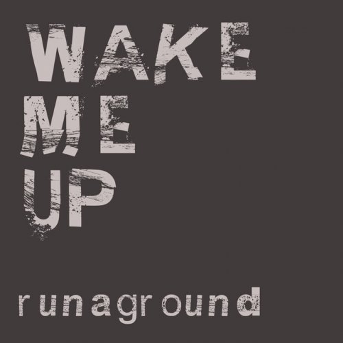 Wake Me Up! (originally by Avicii & Aloe Blacc)