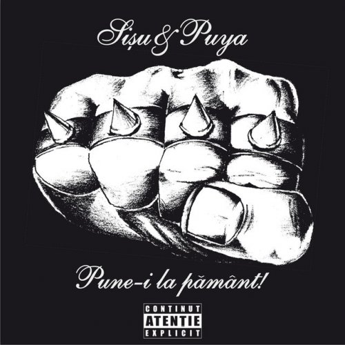 Sisu Puya Inchis Lyrics Musixmatch