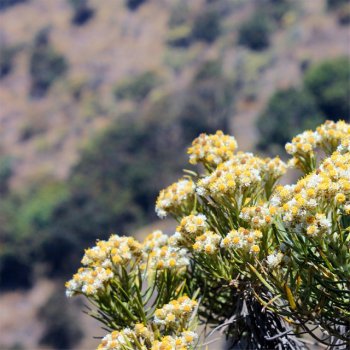 Porno ichida fitnes bikini qiz Onlaynda anal porno va oltin yomgirlarni tomosha qiling