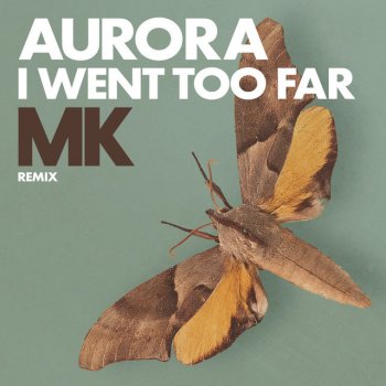 I Went Too Far (MK Remix) [Radio Version]