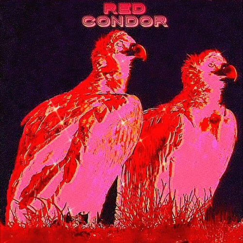 Red Condor - Rotary Dial lyrics | Musixmatch
