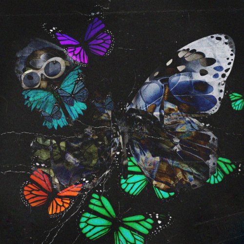 Playboi Carti Leaks No Lie Songtext Musixmatch