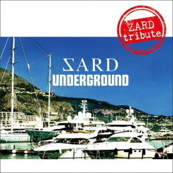 SARD UNDERGROUND - 揺れる想い lyrics translation in English